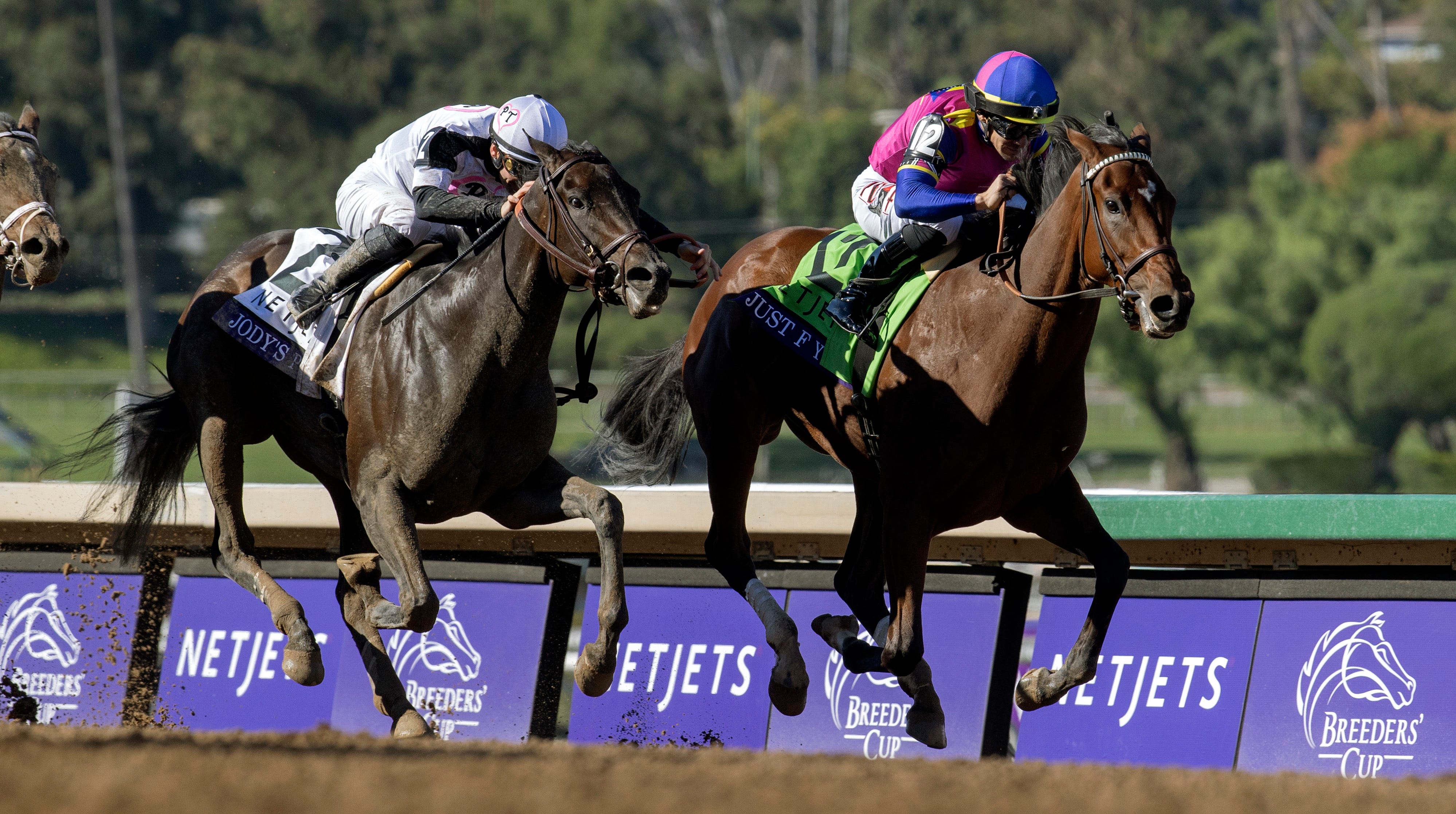 Justify continues global rise with juvenile Breeders' Cup wins